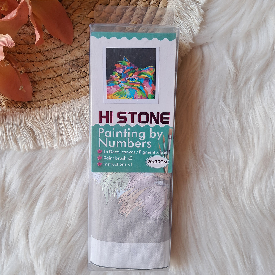 Pintura por Números Gato Colorido 4