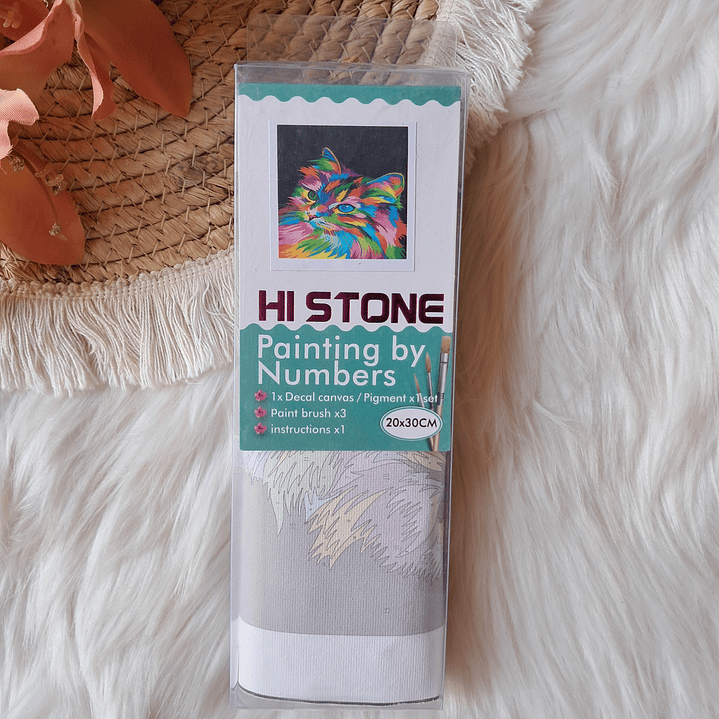 Pintura por Números Gato Colorido 4