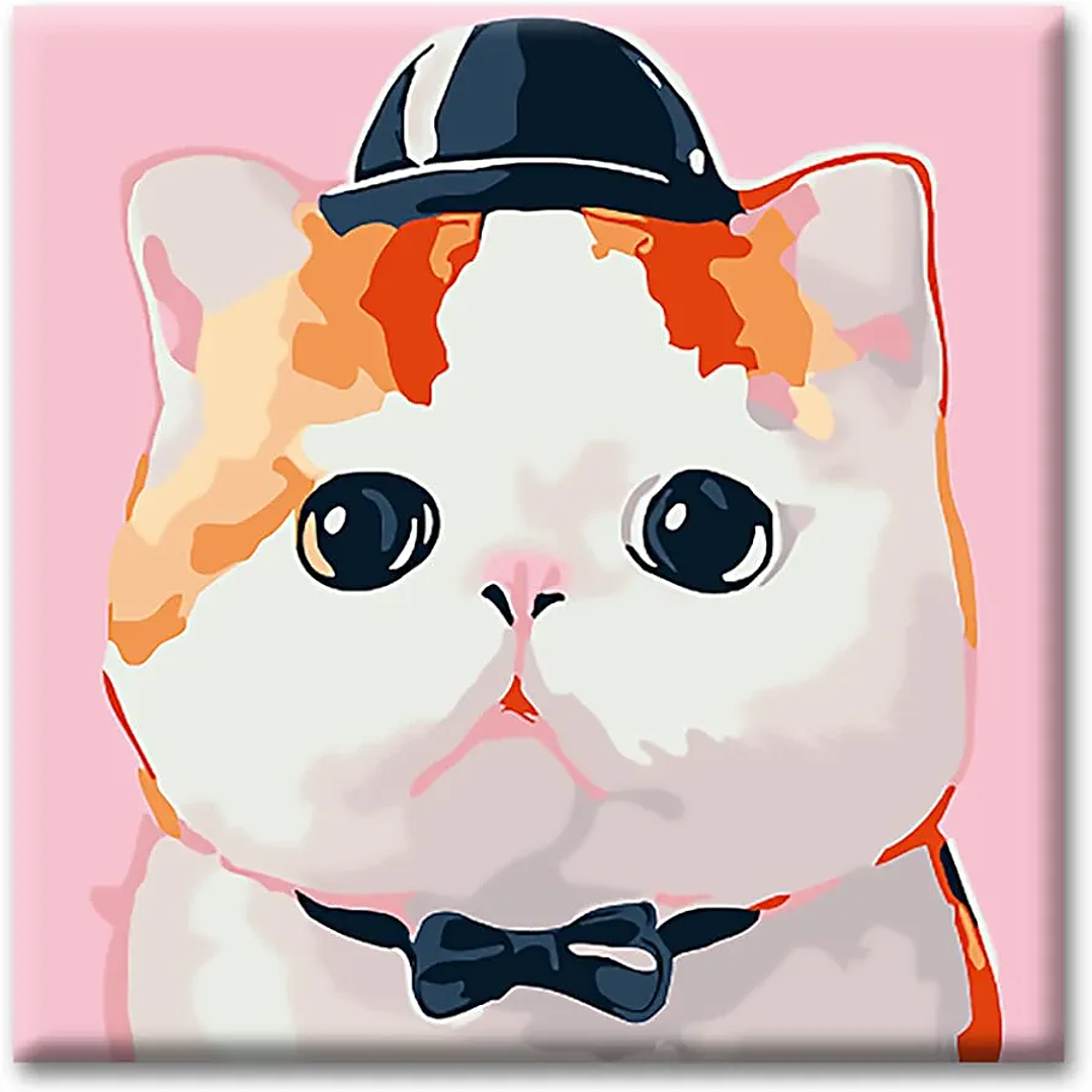 Pintura por Números Gato Blanco  1