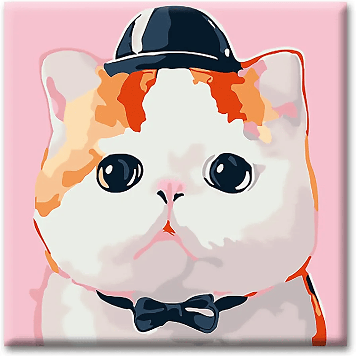 Pintura por Números Gato Blanco  1