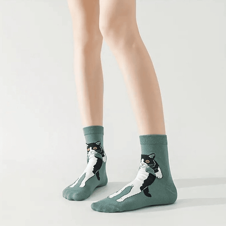 Calcetines Gato Tomado 9