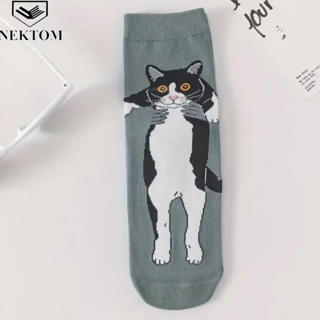 Calcetines Gato Tomado 6
