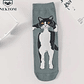 Calcetines Gato Tomado - Miniatura 6