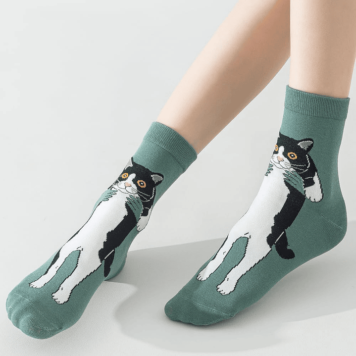 Calcetines Gato Tomado 12