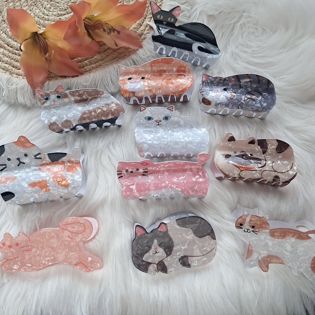 Pinche Tiburón diseño Gato 2