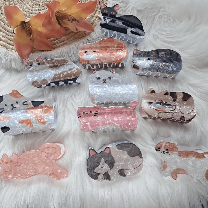 Pinche Tiburón diseño Gato 2