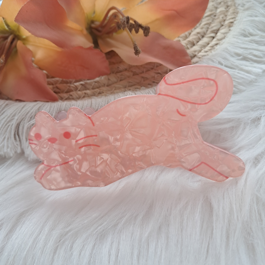 Pinche Tiburón diseño Gato 5