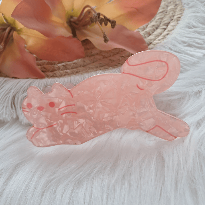 Pinche Tiburón diseño Gato 5