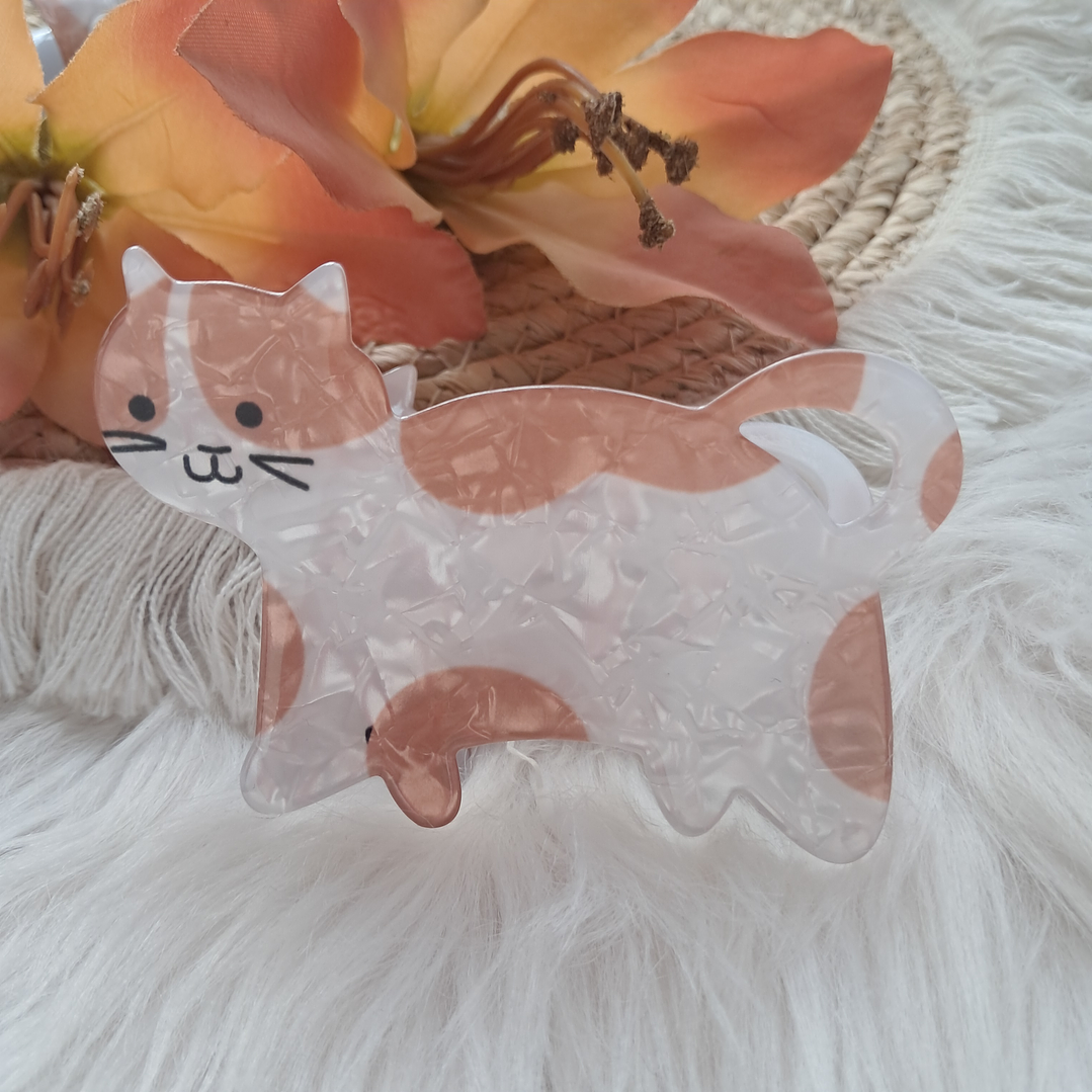 Pinche Tiburón diseño Gato 10