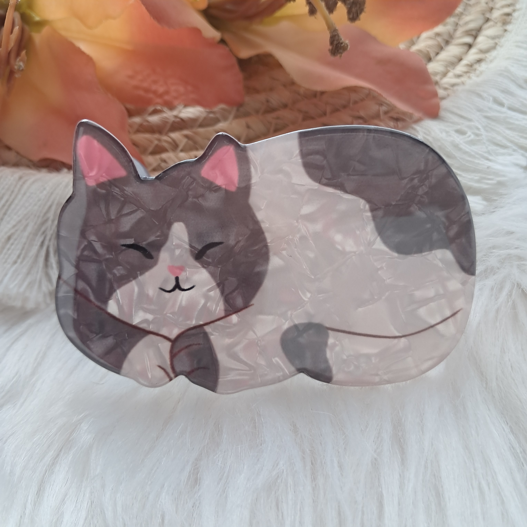 Pinche Tiburón diseño Gato 8