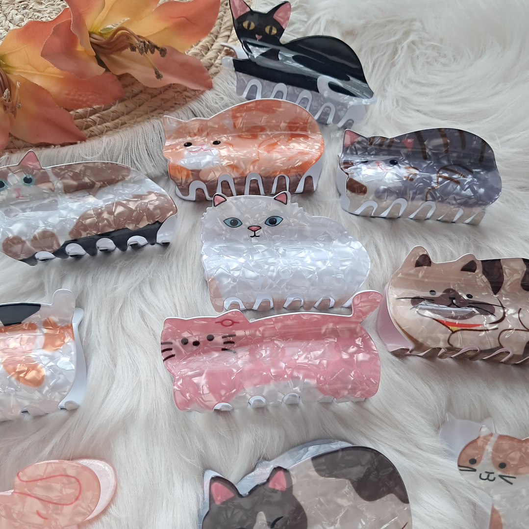 Pinche Tiburón diseño Gato 1