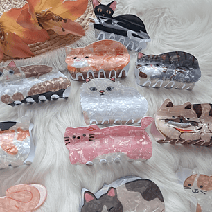 Pinche Tiburón diseño Gato