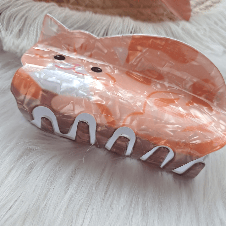 Pinche Tiburón diseño Gato 13