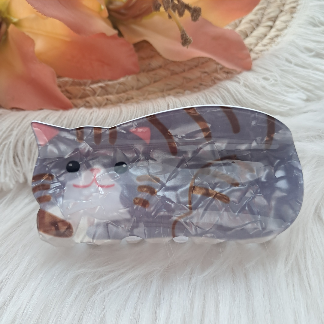 Pinche Tiburón diseño Gato 19