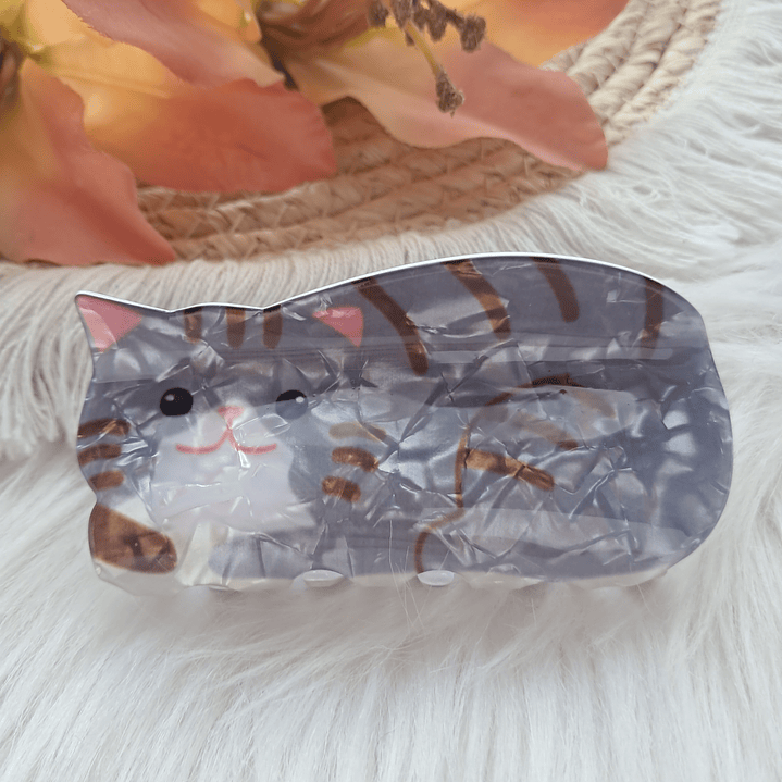 Pinche Tiburón diseño Gato 19