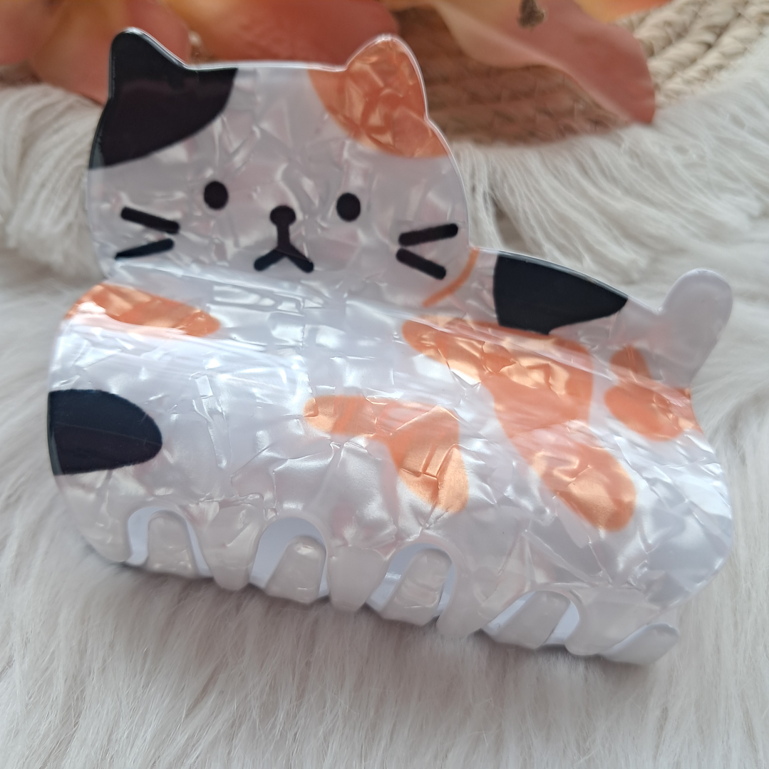 Pinche Tiburón diseño Gato 11