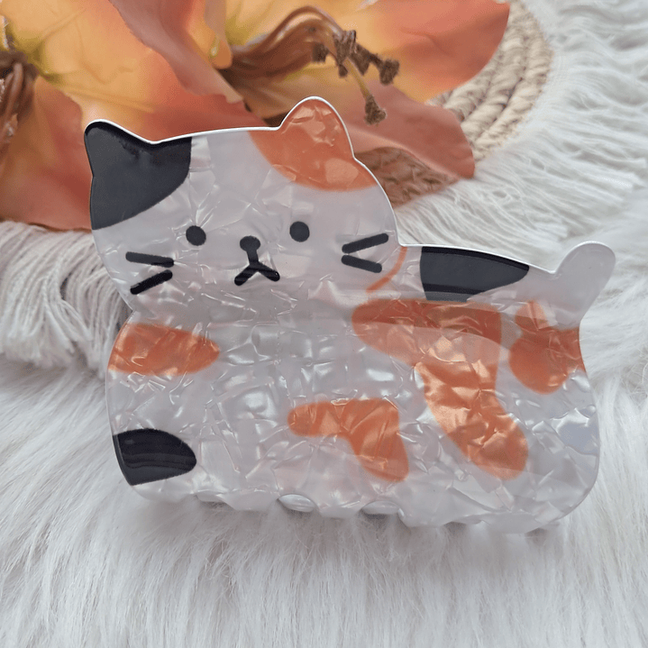 Pinche Tiburón diseño Gato 14