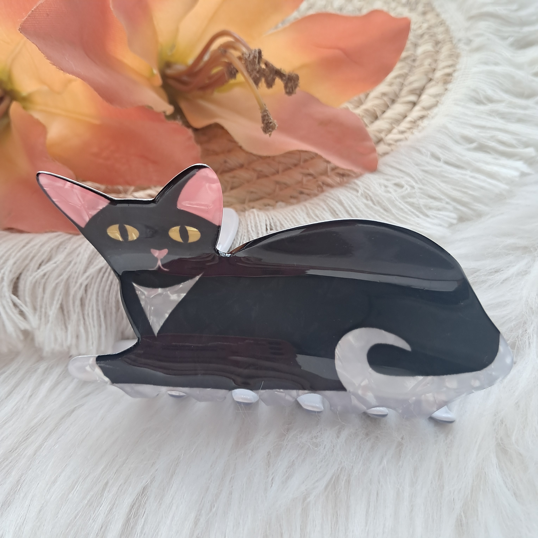 Pinche Tiburón diseño Gato 17