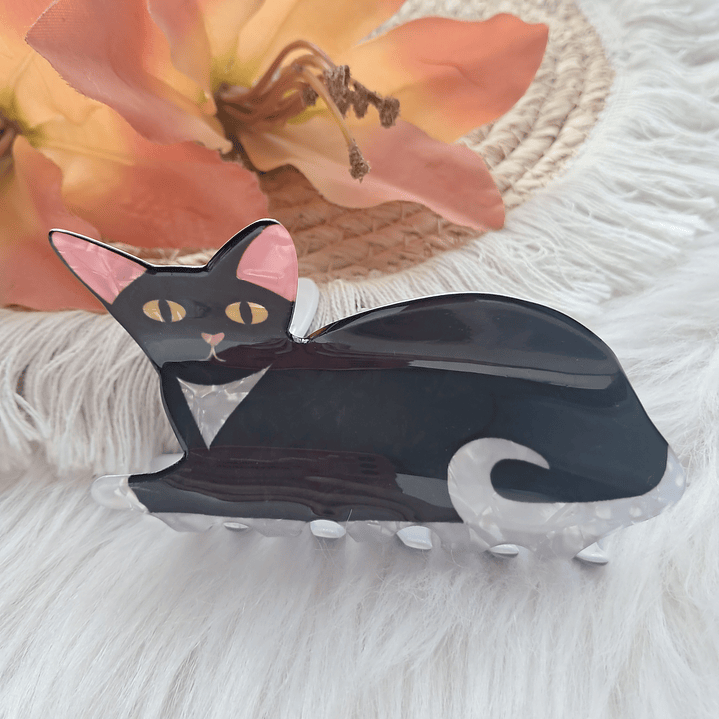 Pinche Tiburón diseño Gato 17