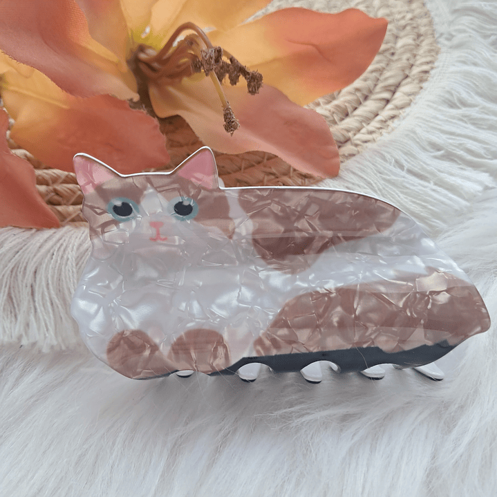 Pinche Tiburón diseño Gato 24