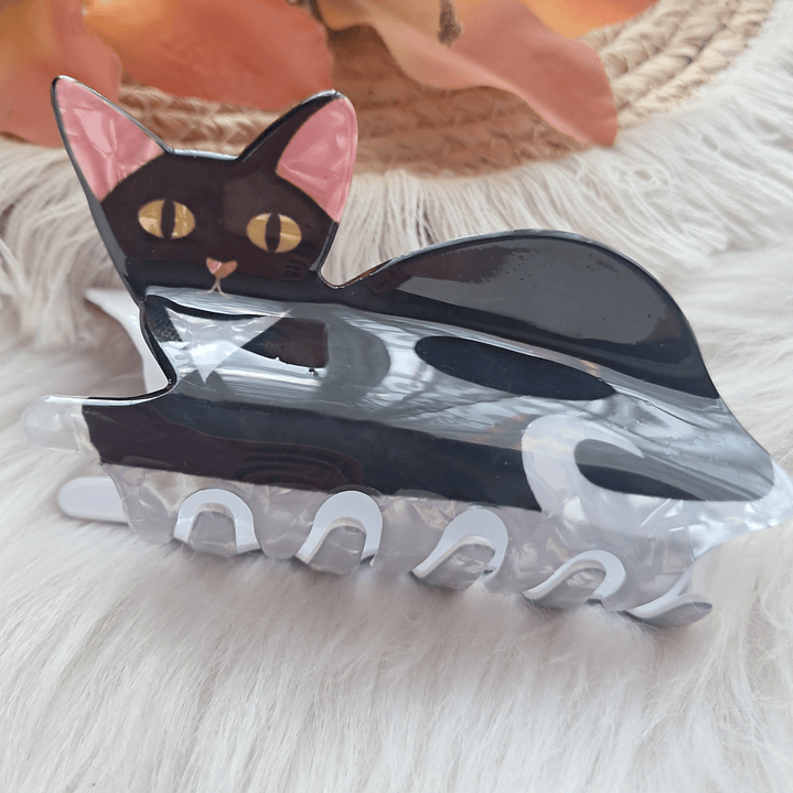 Pinche Tiburón diseño Gato 22