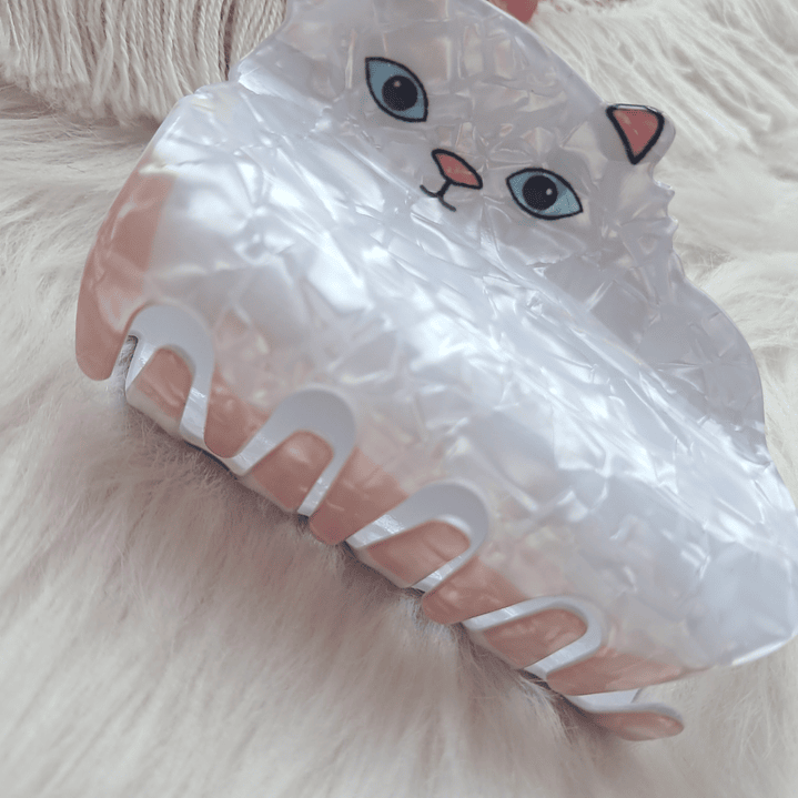 Pinche Tiburón diseño Gato 7