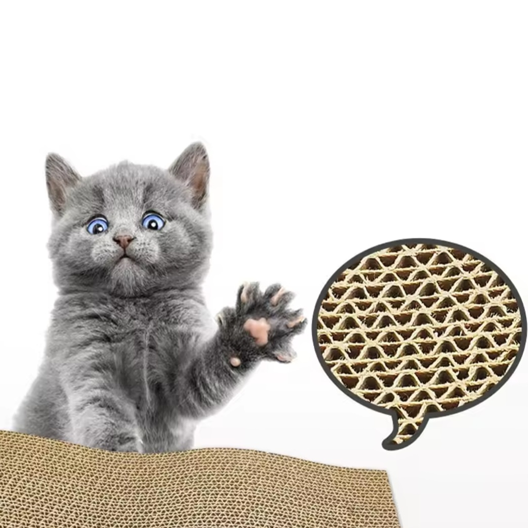 Rascador de Cartón para Gatos 5