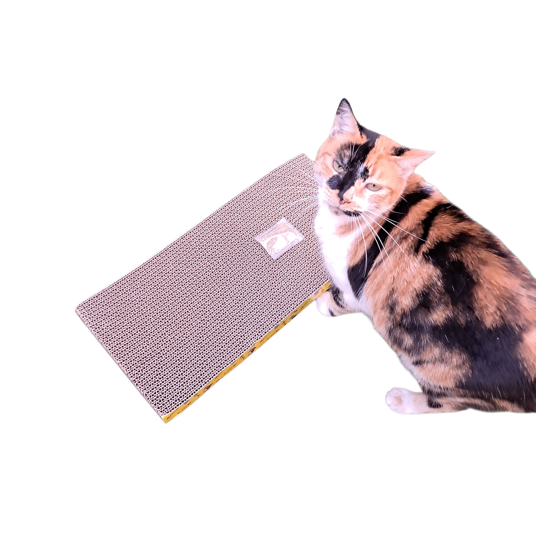 Rascador de Cartón para Gatos 3