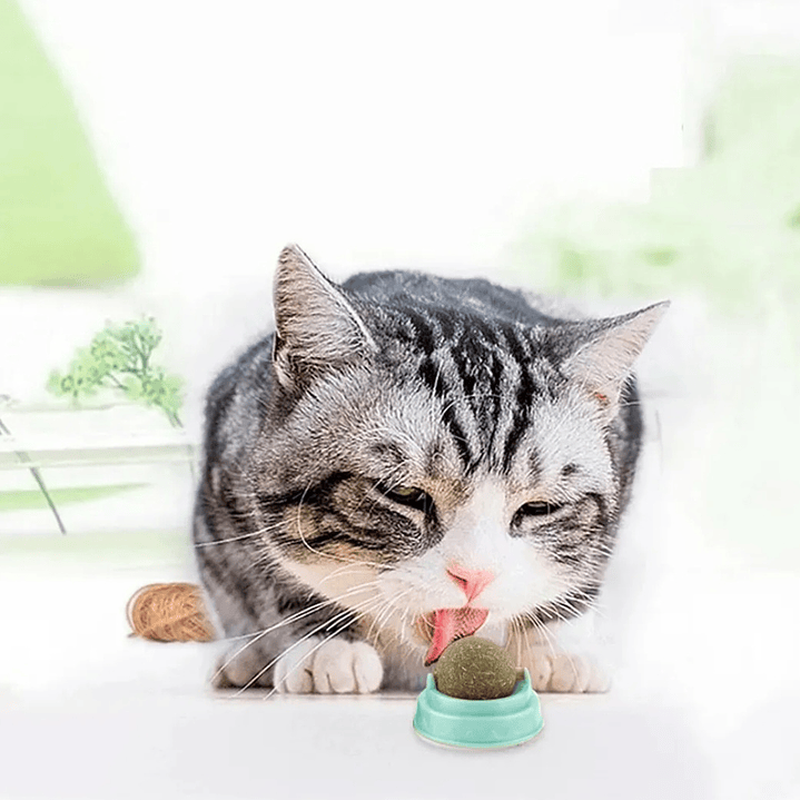 Bola Giratoria de Catnip para Gatos 2