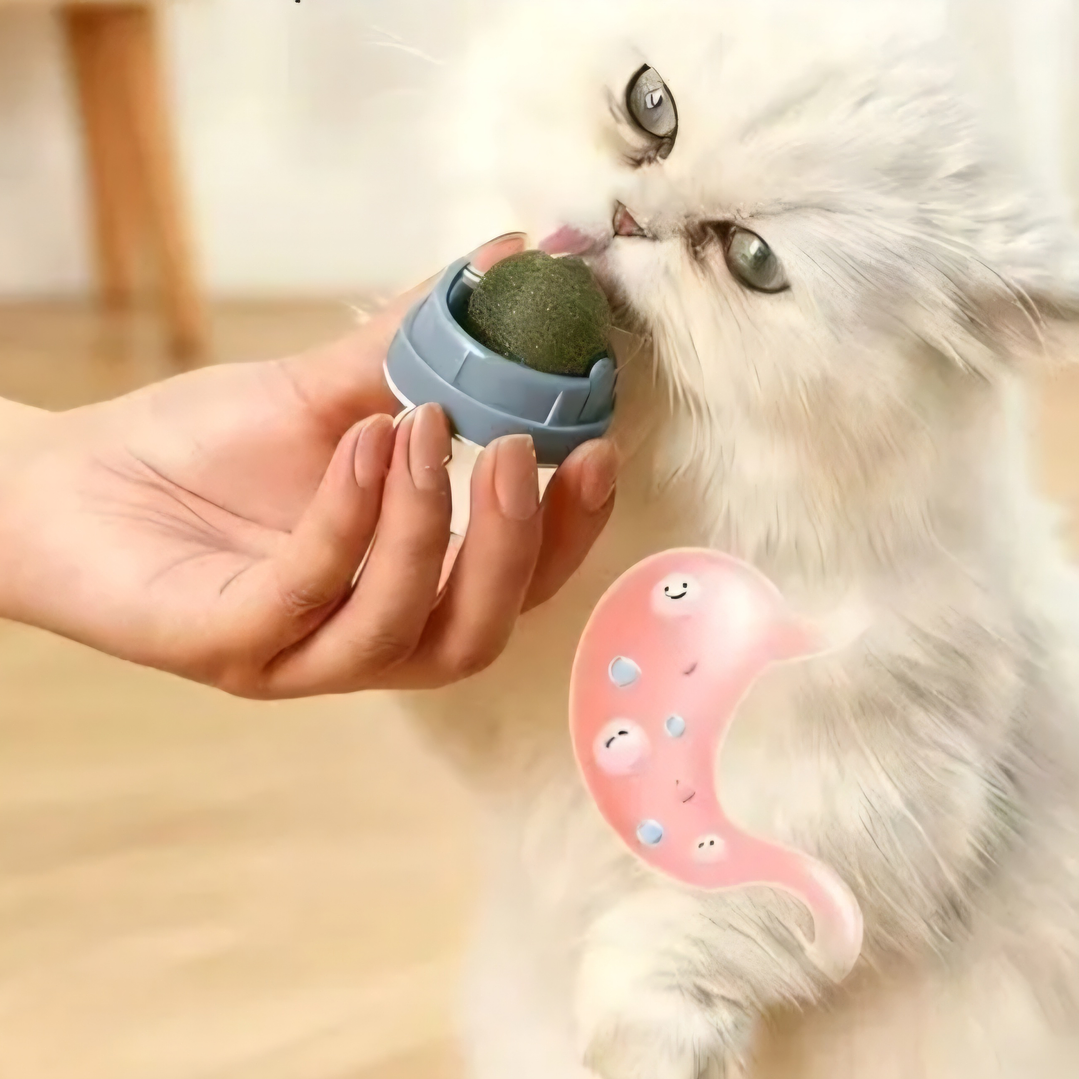 Bola Giratoria de Catnip para Gatos 4