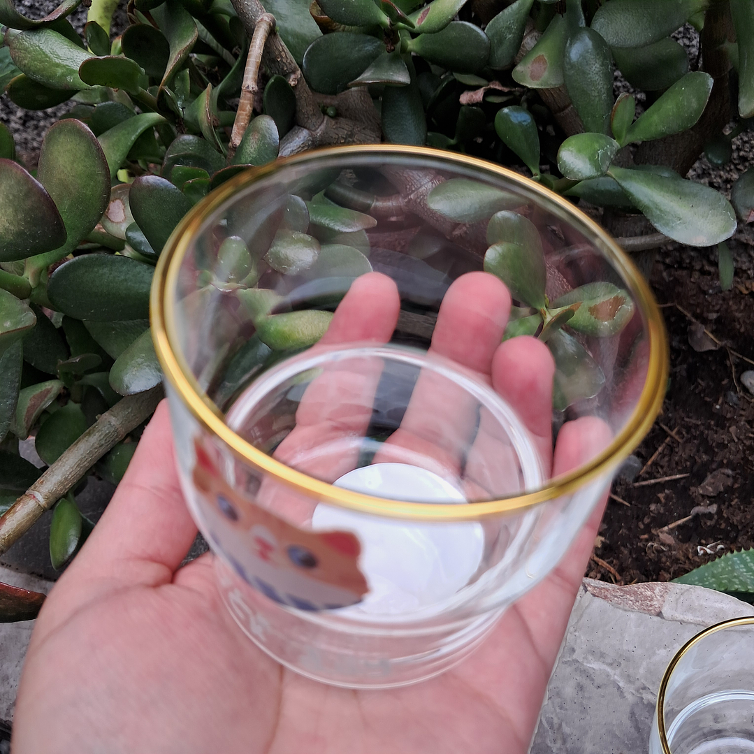 Set de 3 Vasos de Vidrio Gatitos 6