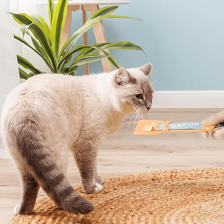 Cuchara dispensadora de Churus 9