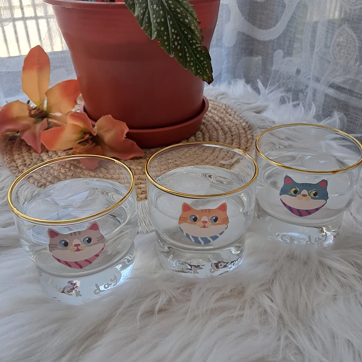 Set de 3 Vasos de Vidrio Gatitos 2
