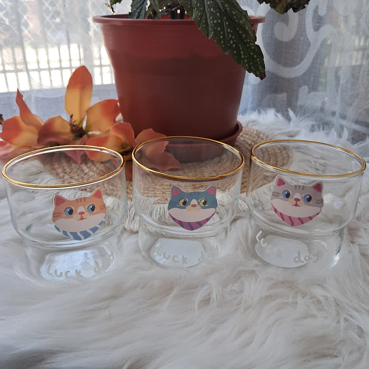 Set de 3 Vasos de Vidrio Gatitos 4