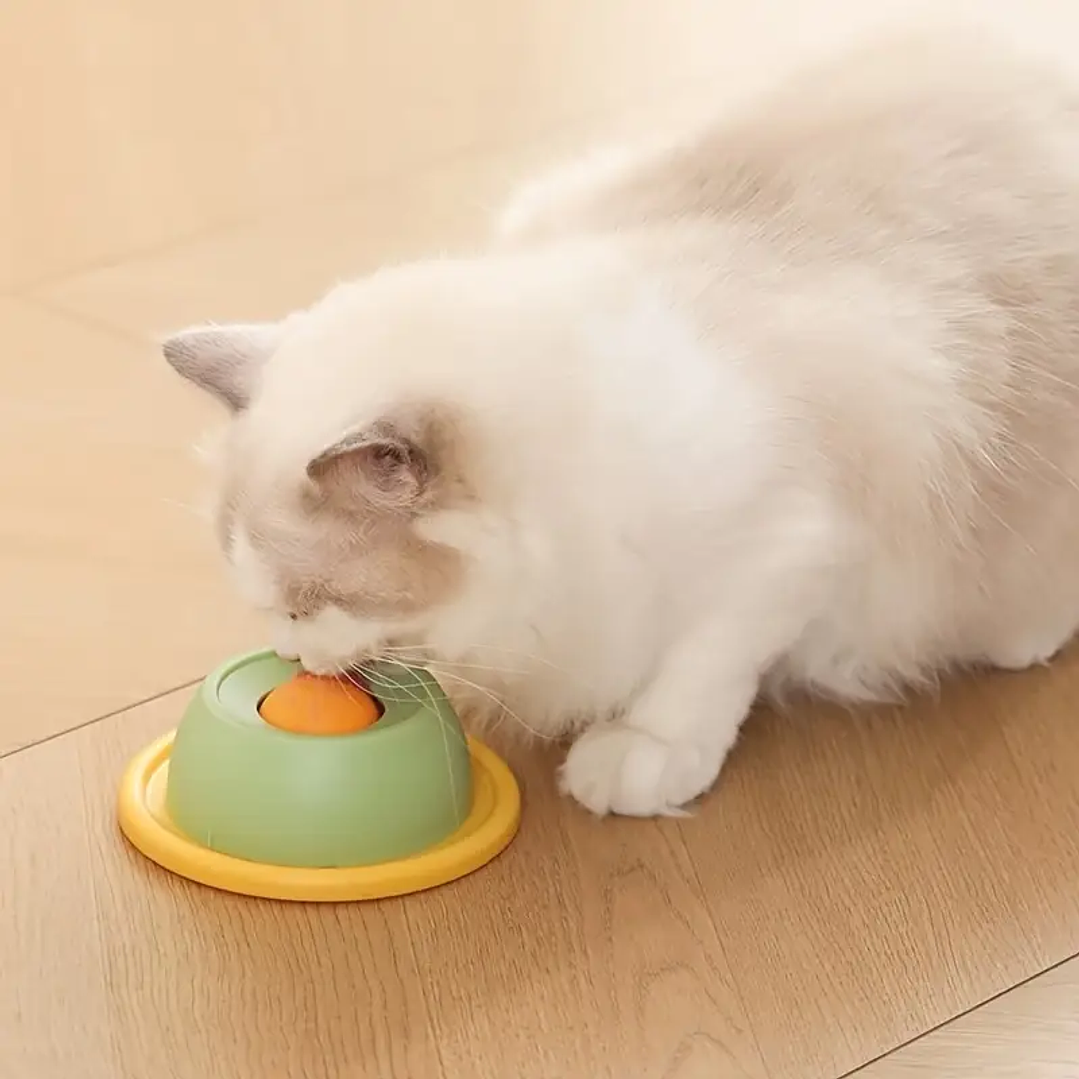 Comedero Interactivo para Gatos 5