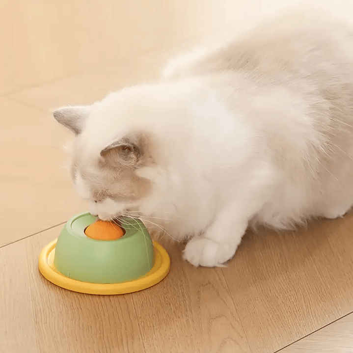 Comedero Interactivo para Gatos 5