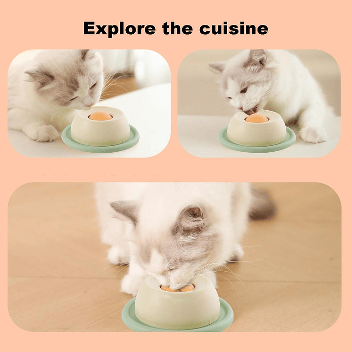 Comedero Interactivo para Gatos 7