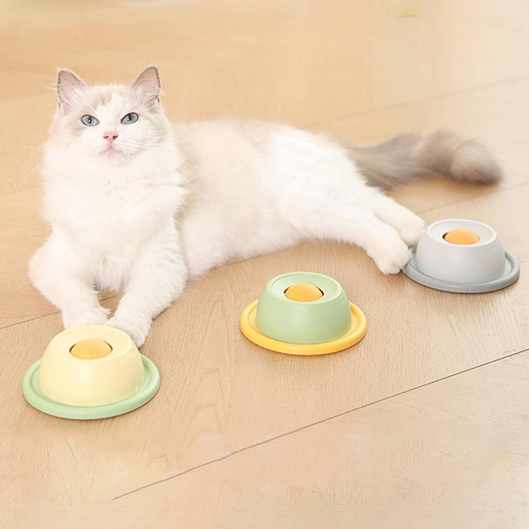 Comedero Interactivo para Gatos 13