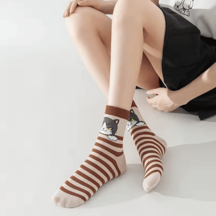 Calcetines Gatos Divertidos 3
