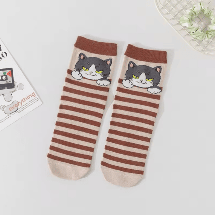Calcetines Gatos Divertidos 8