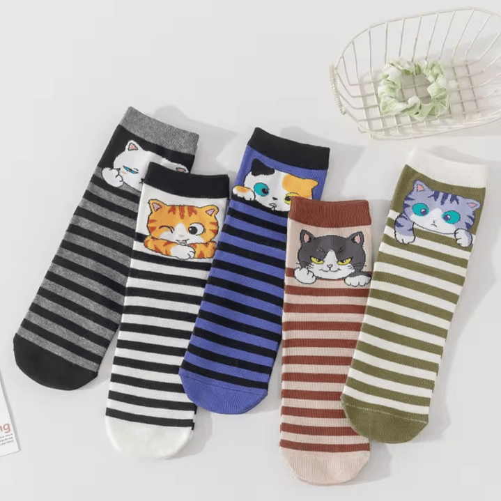 Calcetines Gatos Divertidos 1