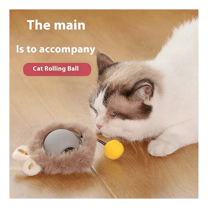 Pelota Interactiva con Movimiento Automático  5