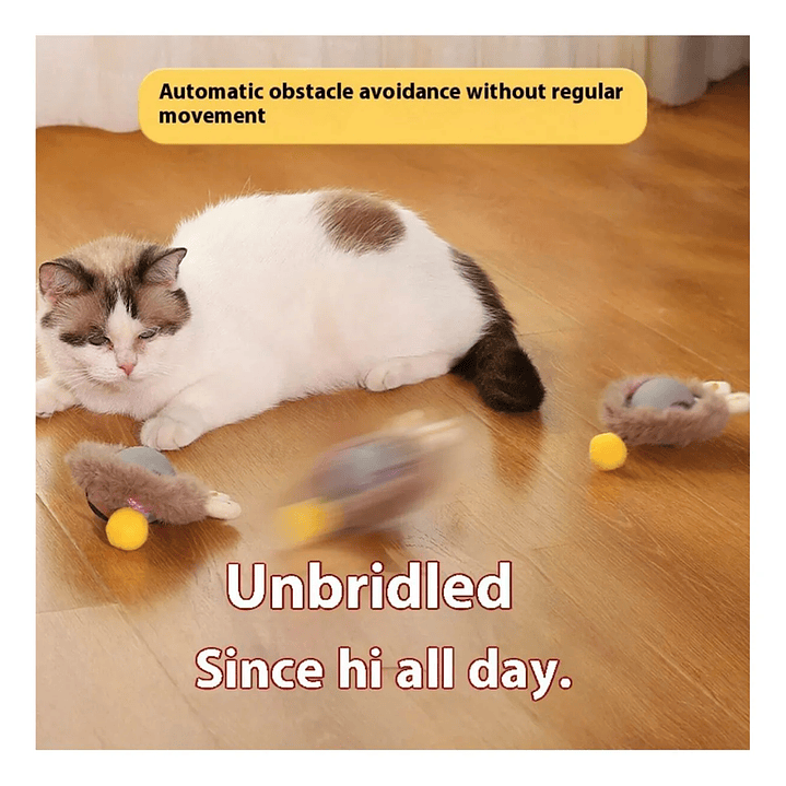 Pelota Interactiva con Movimiento Automático  6