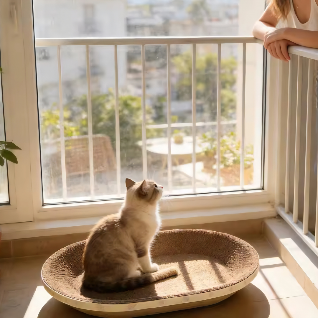 Rascador de Cartón Camita 5