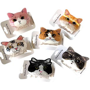 Pinche Tiburón Carita de Gato 