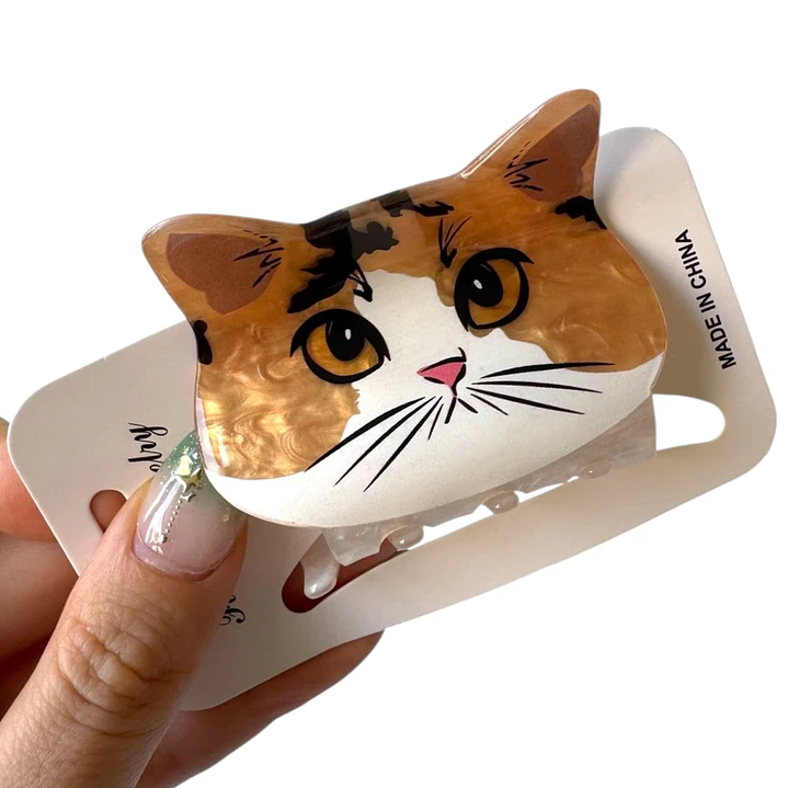 Pinche Tiburón Carita de Gato  4