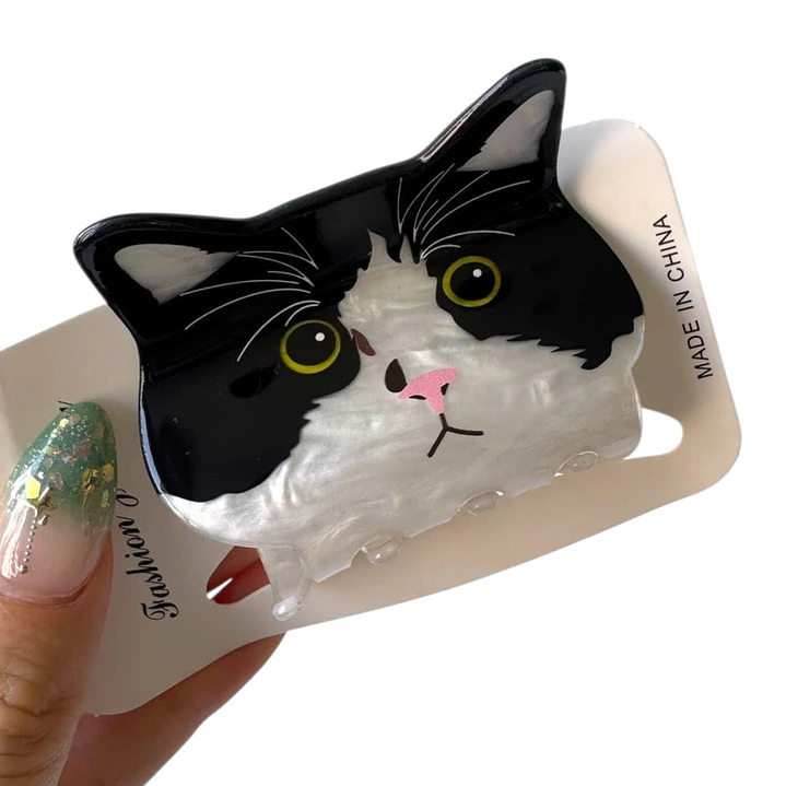 Pinche Tiburón Carita de Gato  8