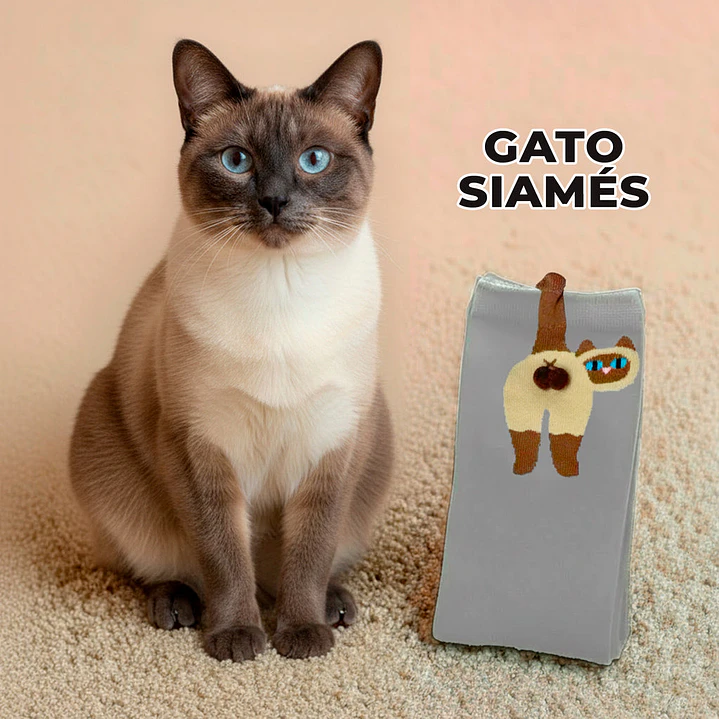 Calcetines Gato Siamés con Bolitas 3