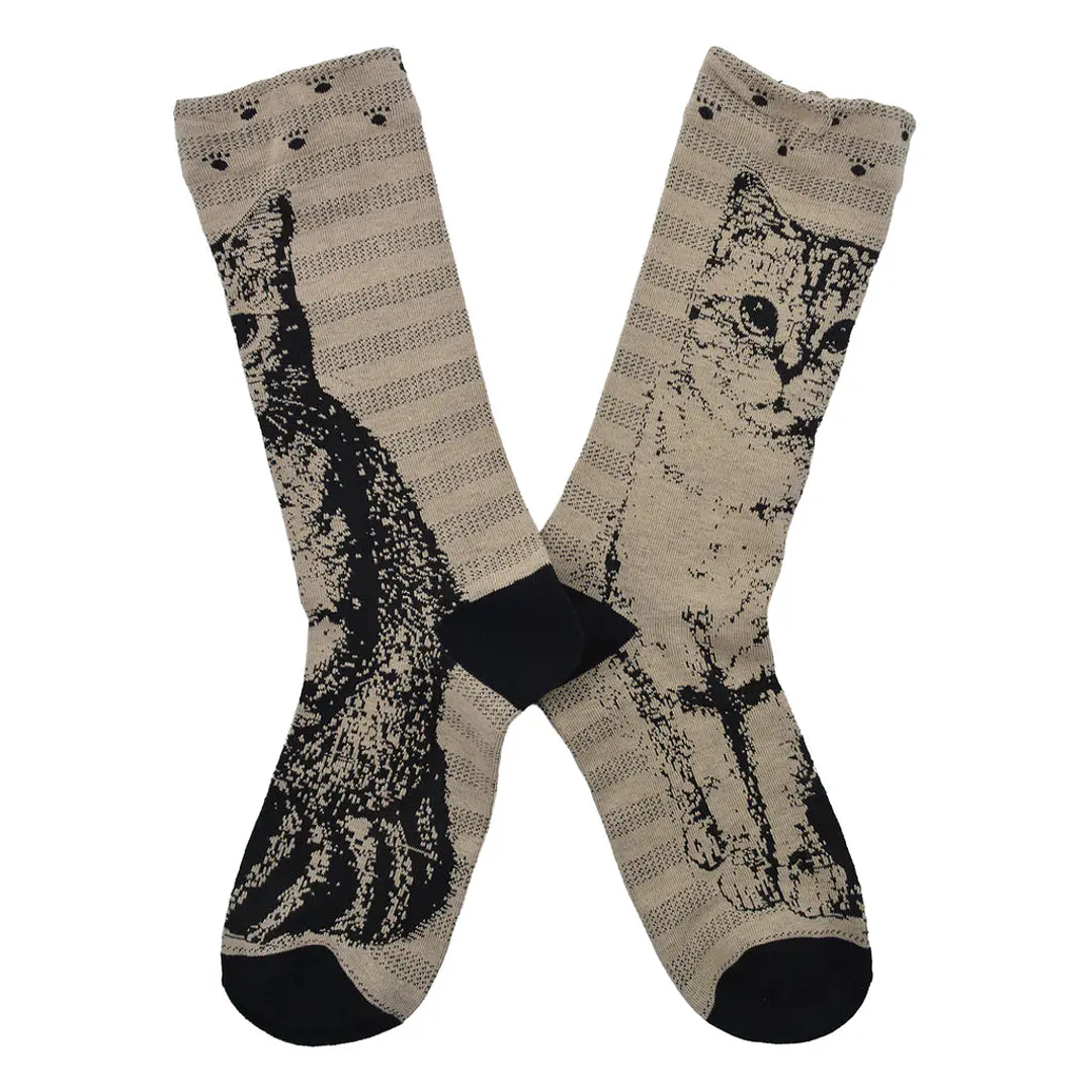 Calcetines Gato  3