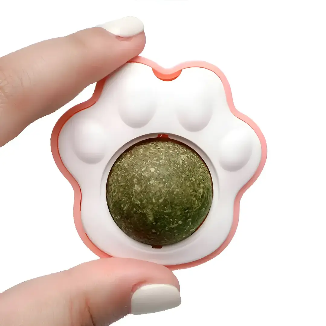 Bola de Catnip para pared  3